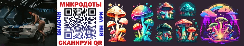 Купить где  Урус-Мартан  Галлюциногенные грибы GOLDEN TEACHER 