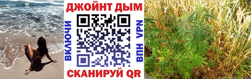 Купить  Урус-Мартан  Бошки Шишки Amnesia 